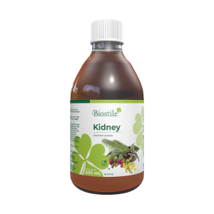 Kidney-1